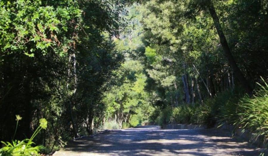 10 Bedroom Property for Sale in Hoekwil Western Cape